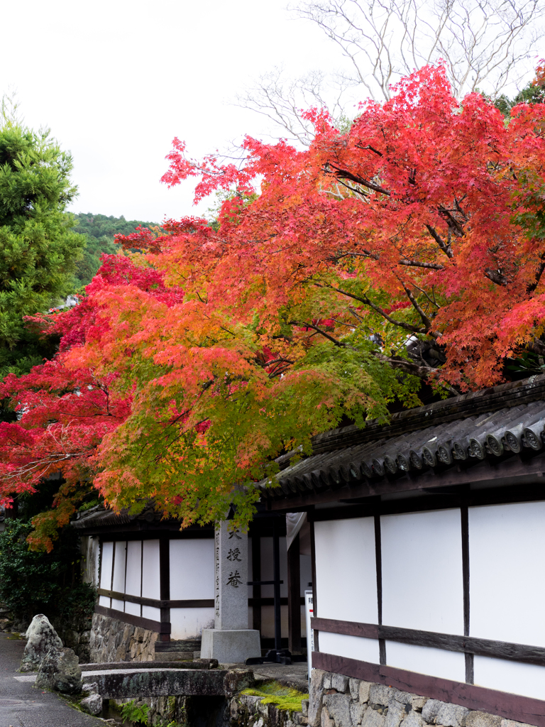 南禅寺