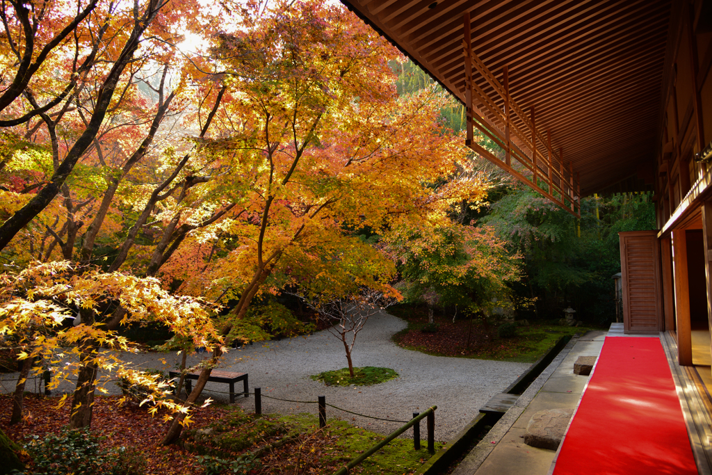 圓光寺