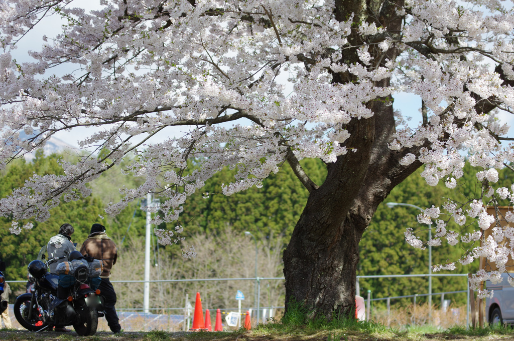 観音寺川