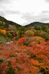 清水寺