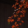 大原三千院
