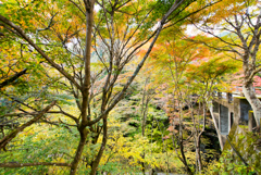 白井平橋