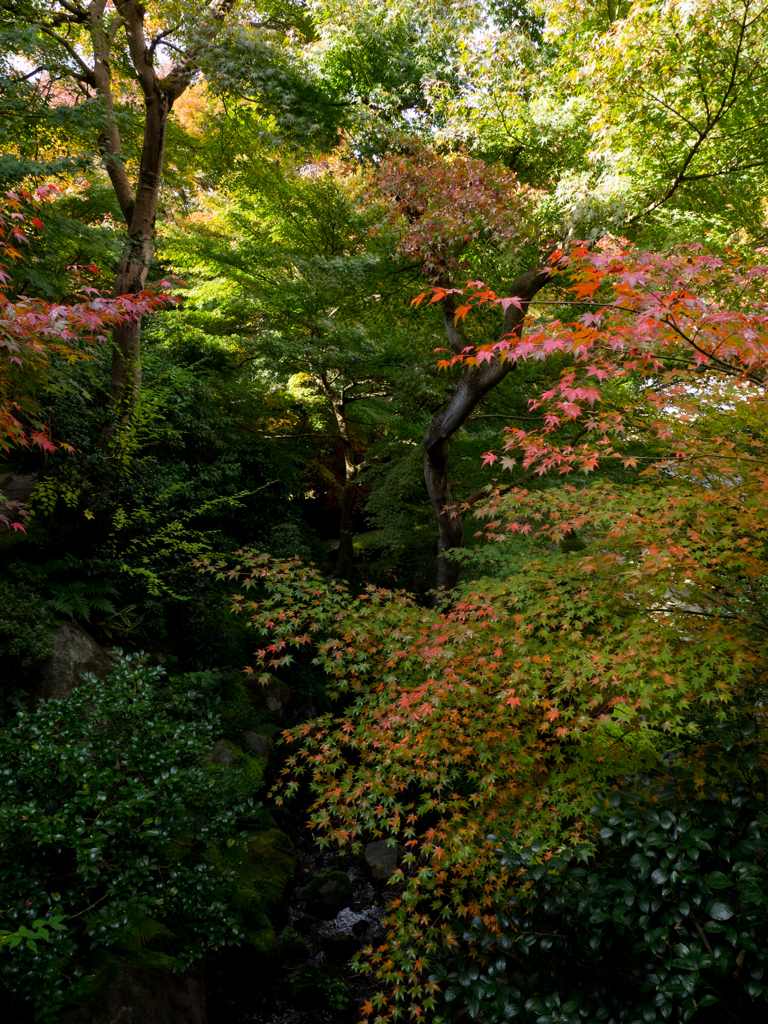 瑠璃光院