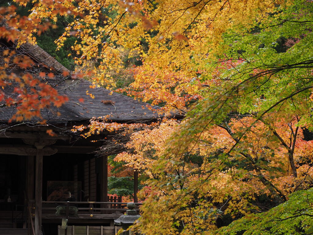 大原三千院