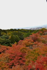 清水寺