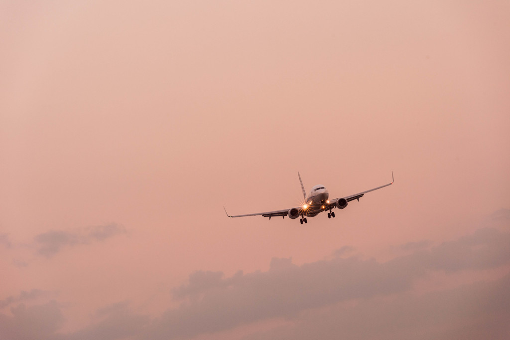 飛行機