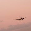 飛行機