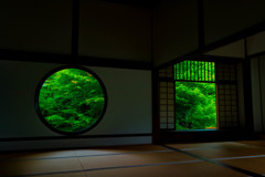 丸と四角と緑