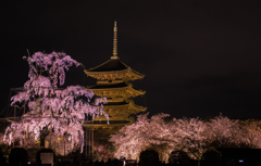 五重塔と枝垂れ桜（横）