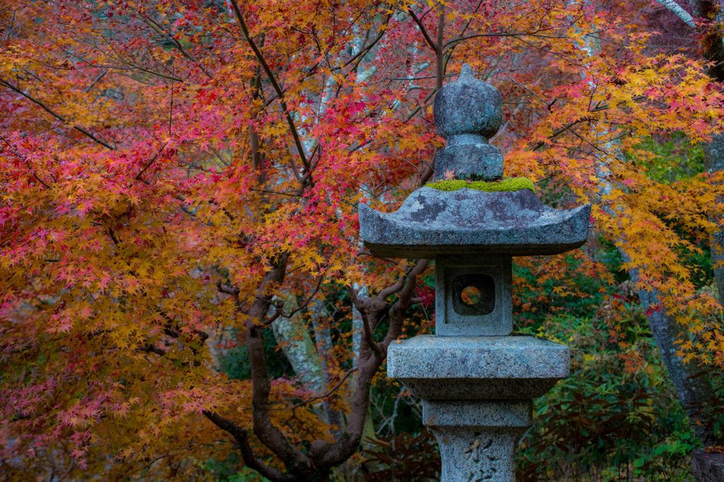 長谷寺