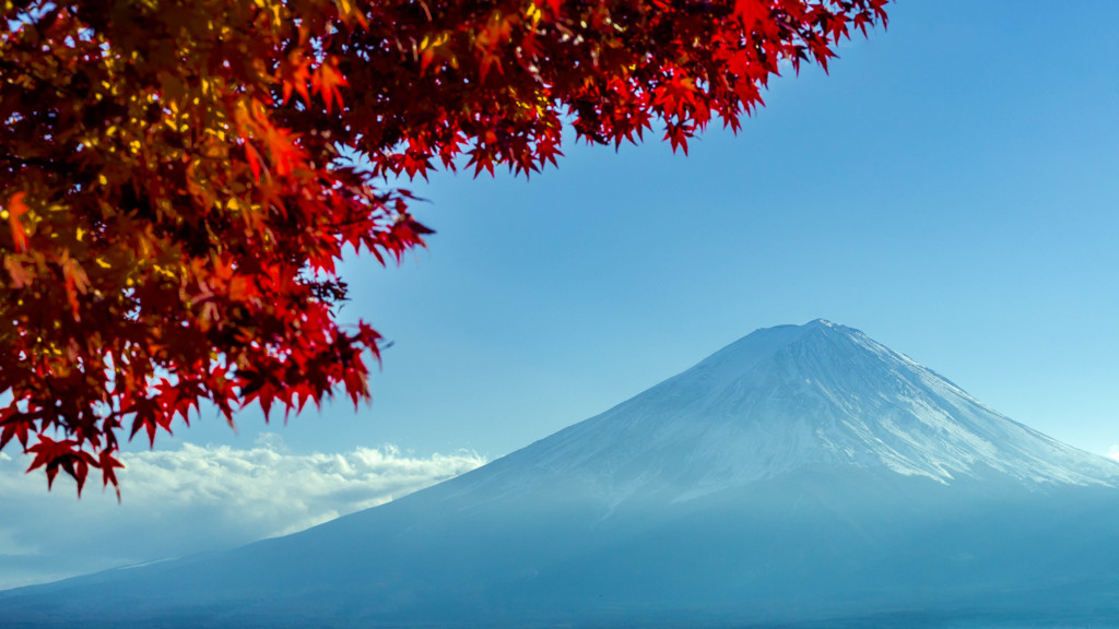 富士山・秋