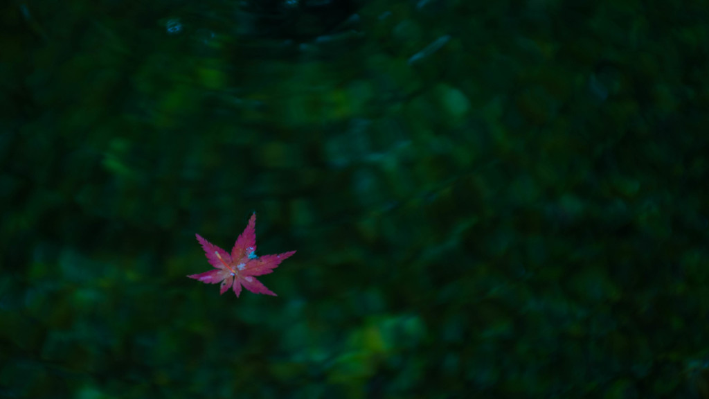 紅葉