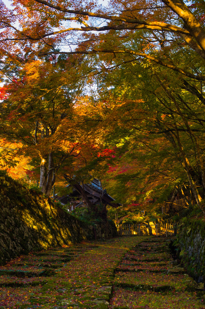 百済寺