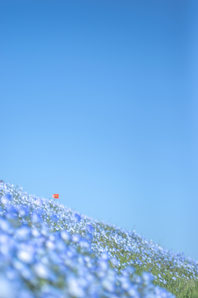 青