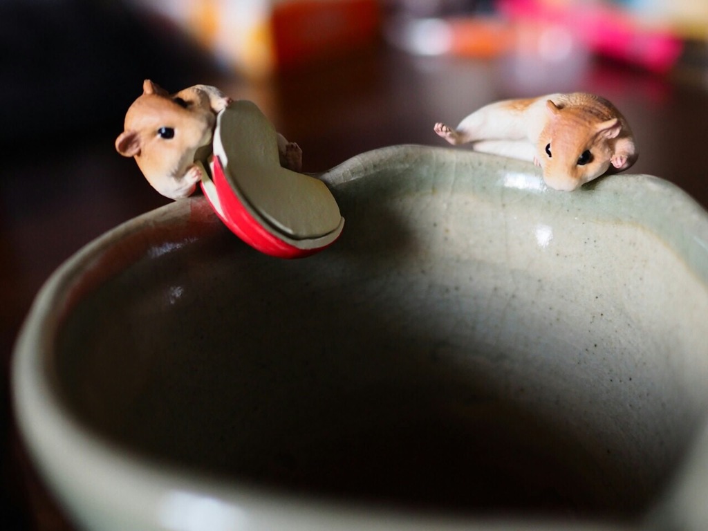 ちびっこハムスター