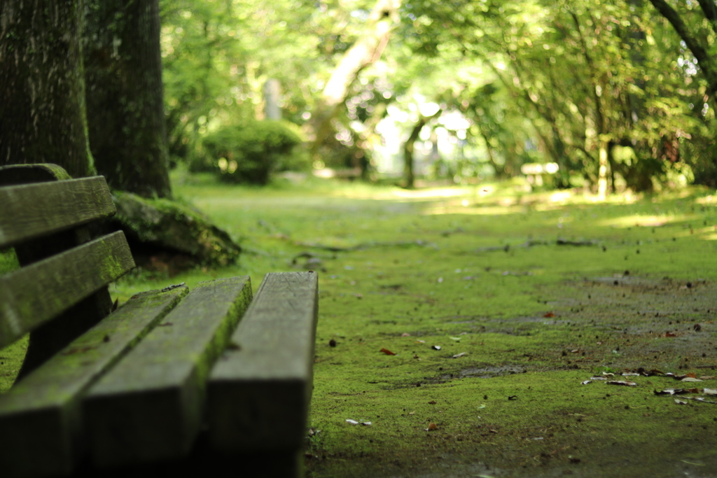 公園とベンチ