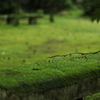 静かな公園