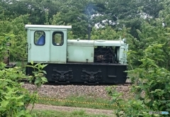 トロッコ列車