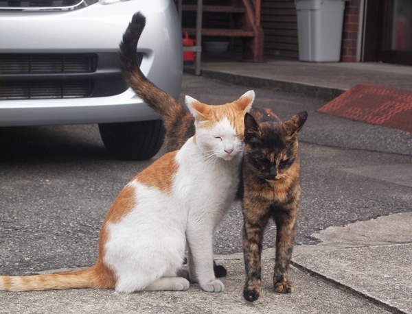 なかよし
