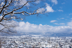 雪の大野市街