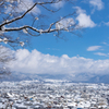 雪の大野市街