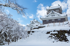 雪の大野城