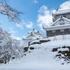 雪の大野城