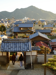 ビビットカラーの夕暮れ