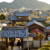 ビビットカラーの夕暮れ