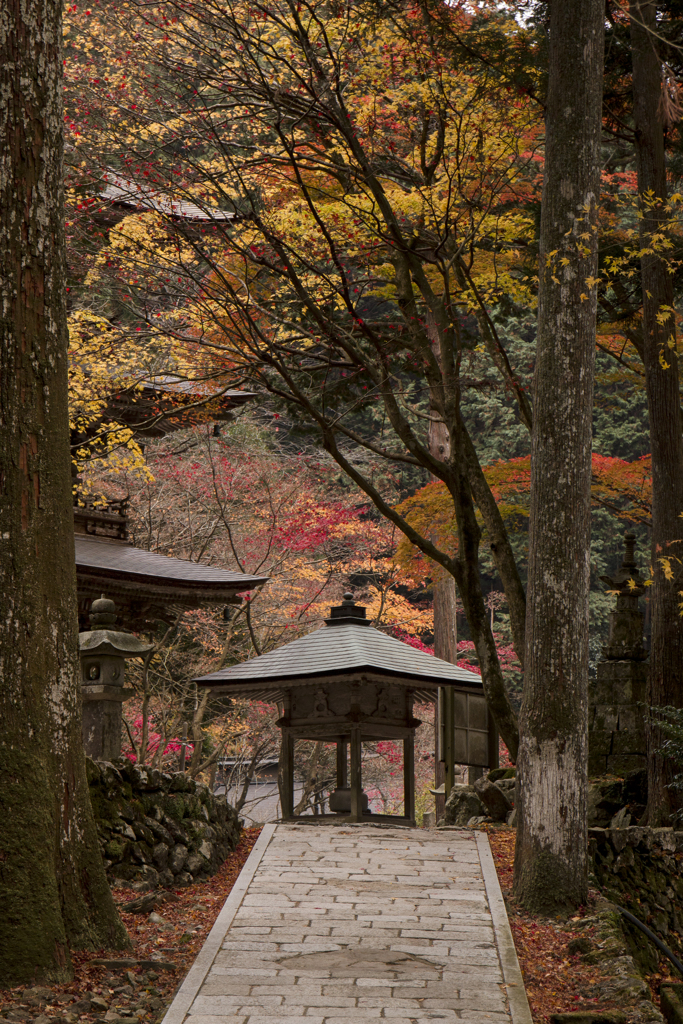 ヒカリノアトリエ in横蔵寺