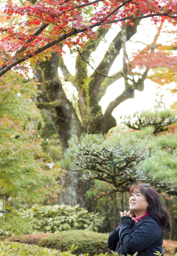 岐阜公園の紅葉 CANON EOS70D