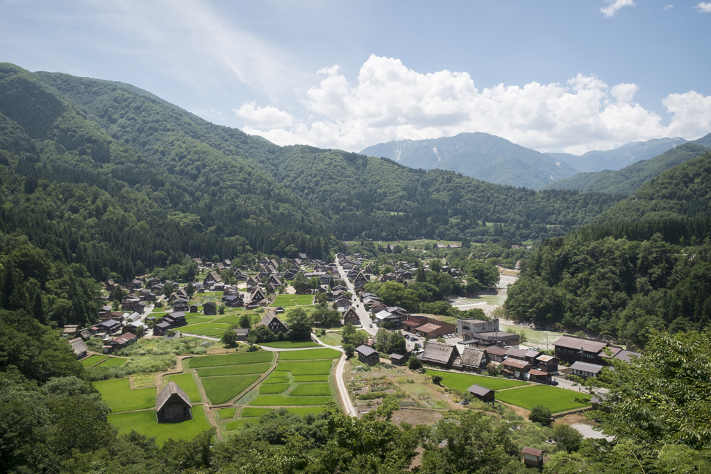 夏の白川郷