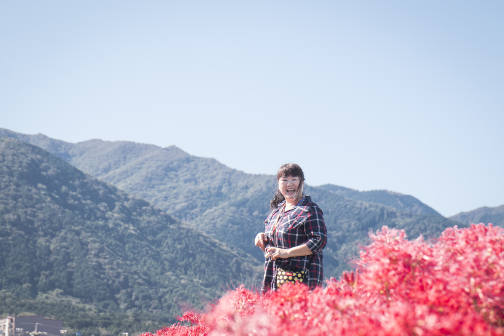 津屋川堤防の彼岸花