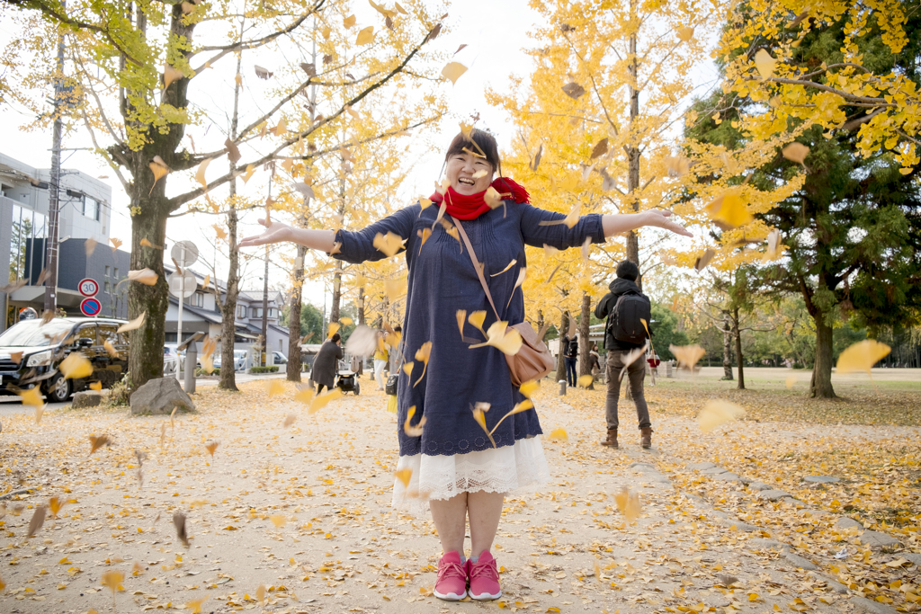 銀杏が舞う季節