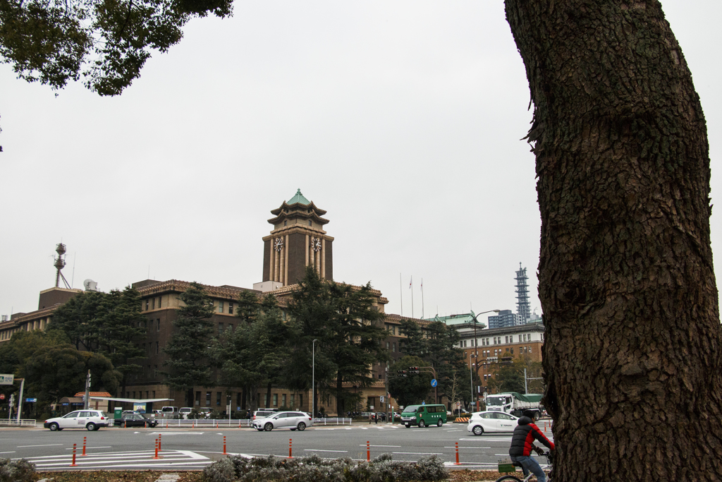 名古屋市役所 86歳