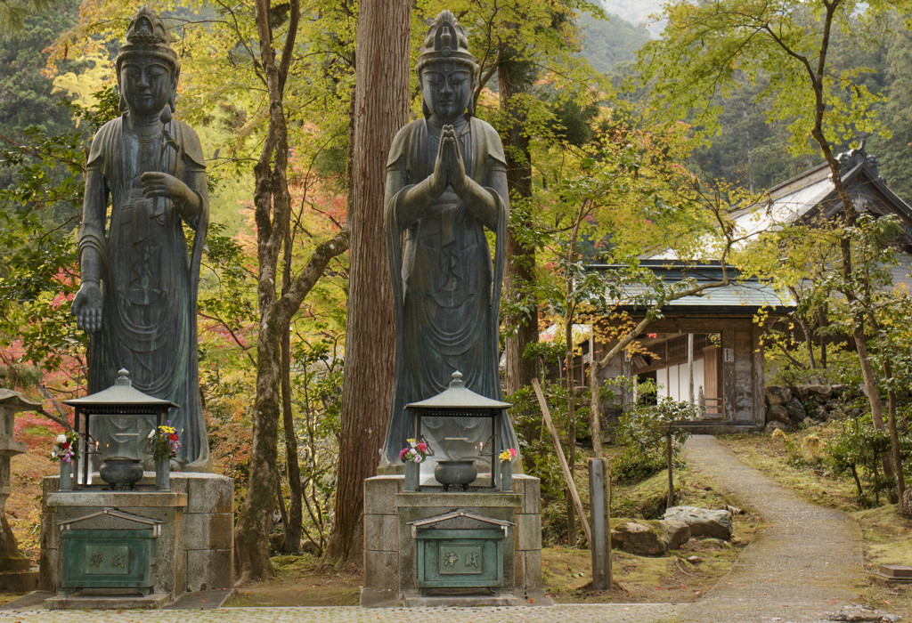 美人菩薩 CANON EOS70D