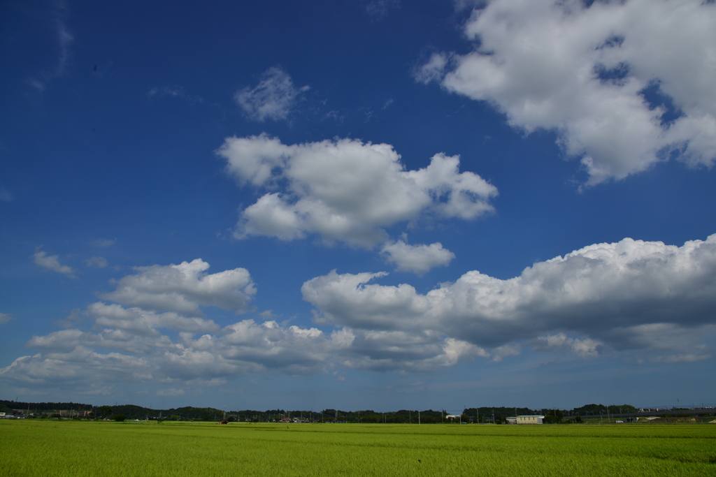 青空のともだち