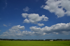 青空のともだち