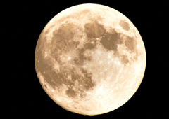 満月の夜