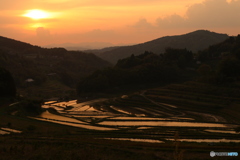棚田