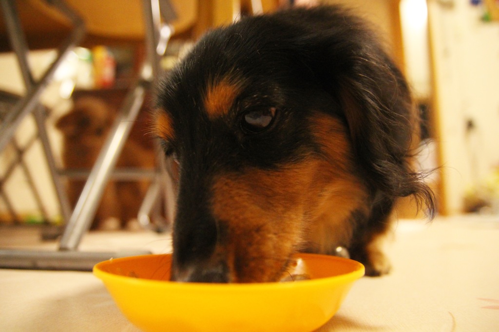 B2E035BD-BCA8-4DC7-862F-324AB08B72AA