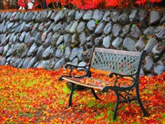 紅葉ベンチそのさん