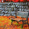 紅葉ベンチそのさん