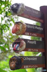 動物の案内