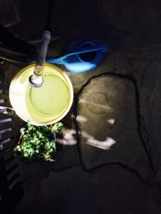 何気に顔