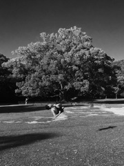 ある日の公園の少年2