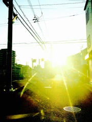 いつもの光