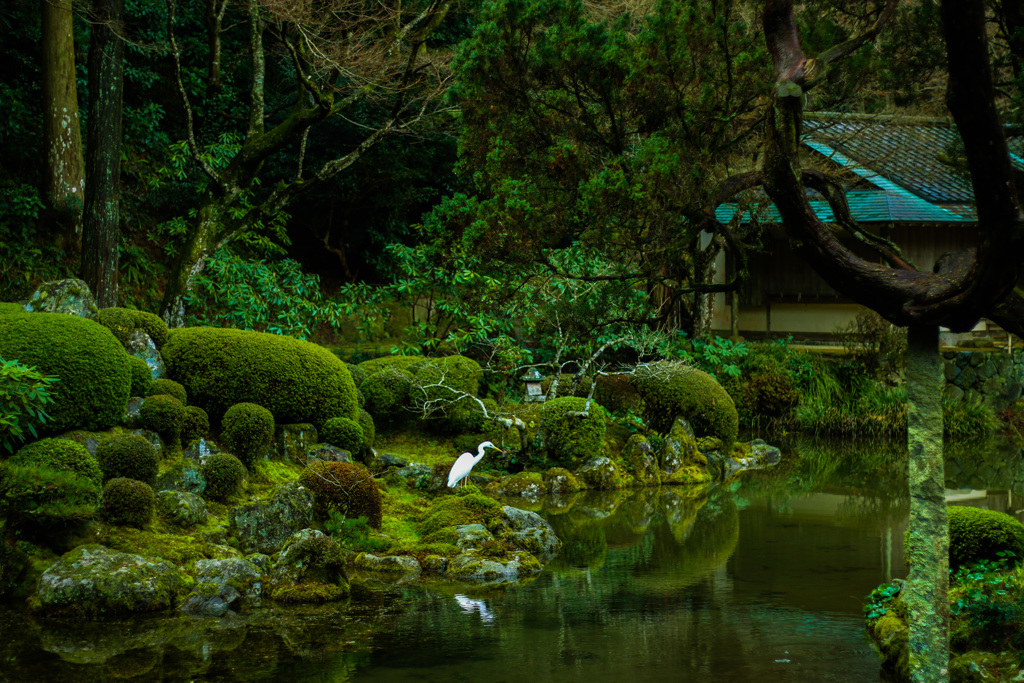 庭園
