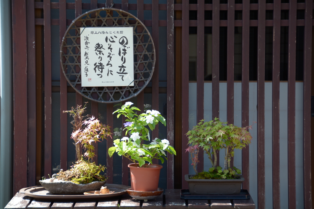 郡上八幡旅玄関先