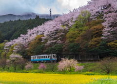 ガタン♪ゴトン♫